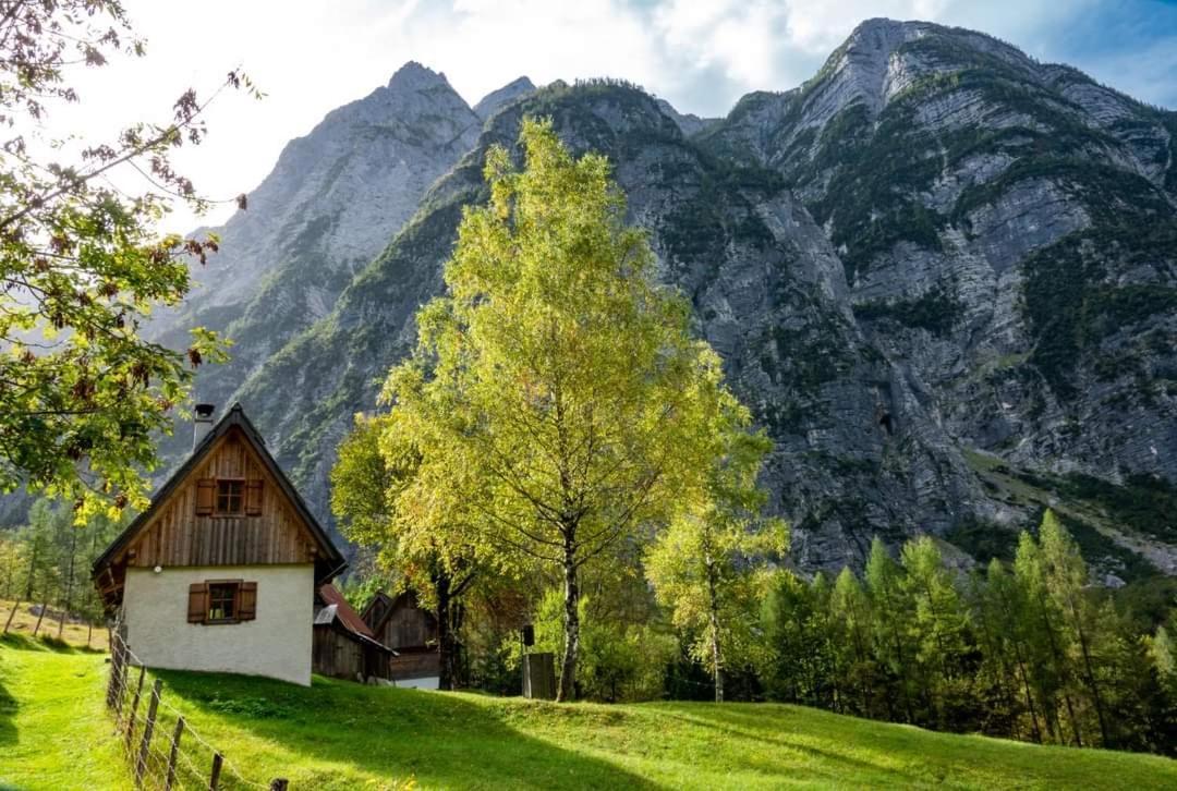 Cottages Kravanja Trenta Exterior foto